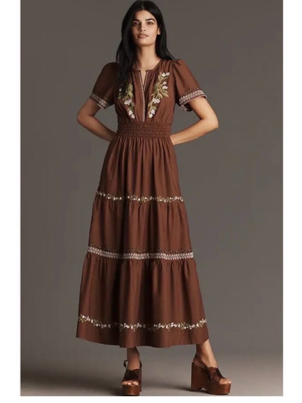 Anthropologie Brown Embroidered Maxi Dress